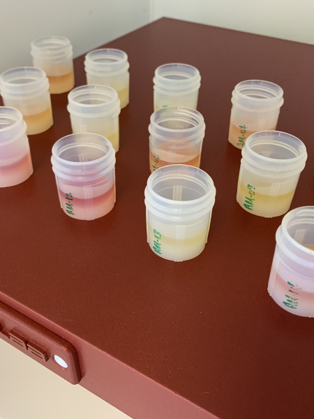 colored liquids on a hotplate in labeled plastic containers